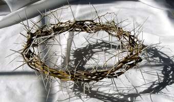 W okresie przedświątecznym rośnie popyt na usługi porządkowe