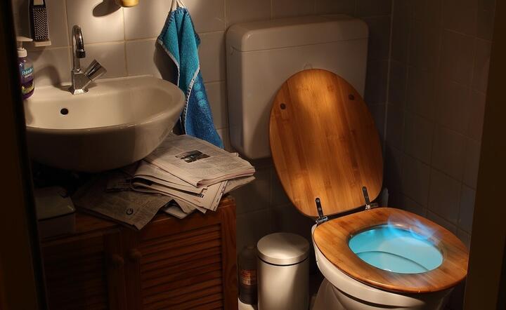 Z czyściutkich jak ta łazienek płyną kanalizacją tony śmieci / autor: Pixabay