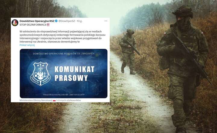 Wojsko Polskie dementuje doniesienia o rzekomym formowaniu polskiego korpusu interwencyjnego na Ukrainie / autor: materiały prasowe MON