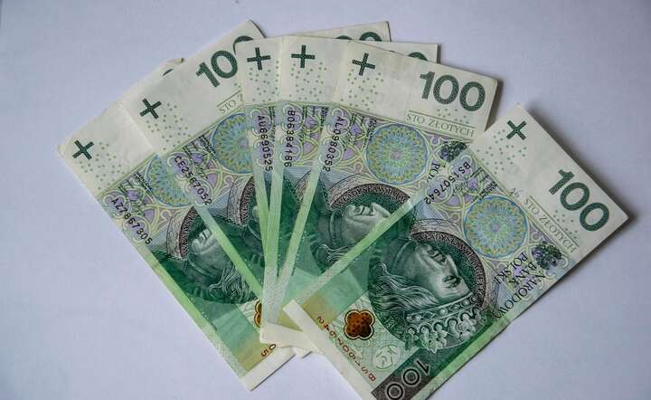 Złoty pozostaje głównie pod wpływem ogólnorynkowego sentymentu / autor: Pixabay