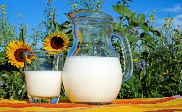 Polskie mleko podbija koreański rynek