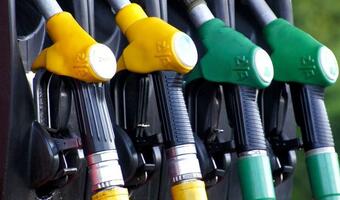 Analitycy: Skala obniżek cen na stacjach paliw zaskakuje