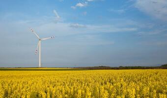 Farmy wiatrowe czekają na korzystne regulacje