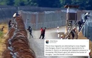 Tak imigranci przedostają się przez granicę Węgier! WIDEO / autor: Twitter/Zoltan Kovacs (screenshot)