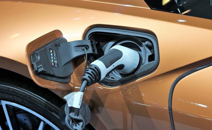 Wizja wyeliminowania paliw konwencjonalnych przez elektromobilność jest złudzeniem / autor: Pixabay