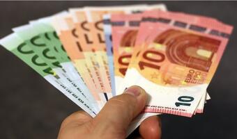 Pytlarczyk: Wspólny budżet nie pomoże strefie euro