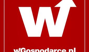 Portal wGospodarce.pl szuka dziennikarzy