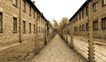 INFOGRAFIKI: Obozy Auschwitz