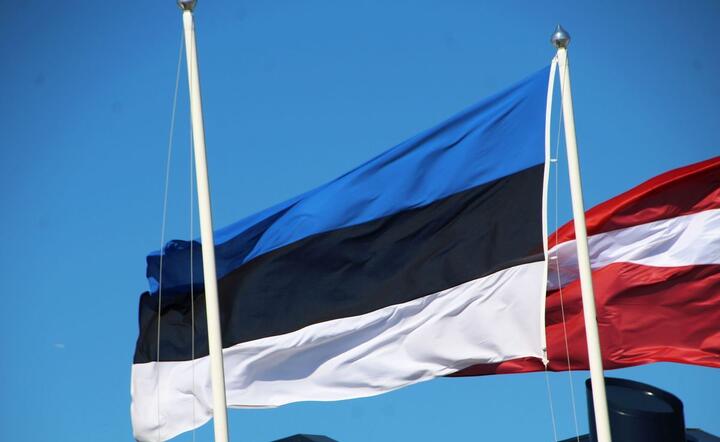 Flaga Estonii / autor: fot. Fratria
