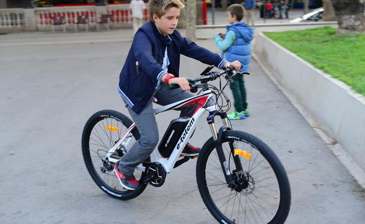chłopak na elektrycznym rowerze / autor: Pixabay