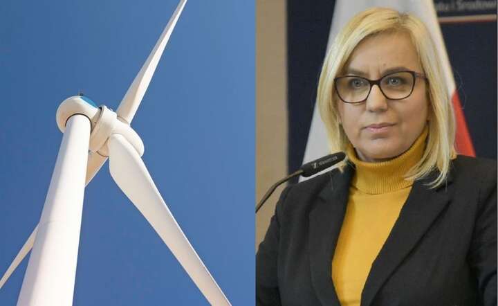 Minister klimatu i środowiska Paulina Hennig-Kloska: będą dwie nowe ustawy - ws. energetyki wiatrowej oraz mrożenia cen energii / autor: Pixabay / Fratria