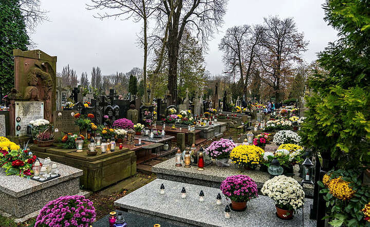 Cmentarz / autor: Fratria