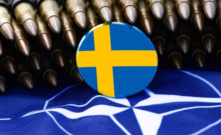 NATO i Szwecja  / autor: Pixabay 