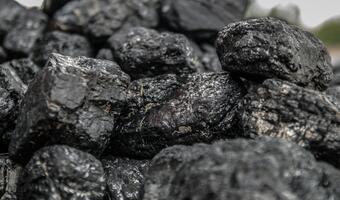 Sprzedawcy węgla obawiają się chaosu na rynku