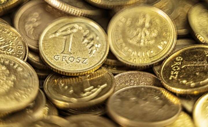 Wybicie monety jednogroszowej jest znacznie kosztowniejsze od jej nominału / autor: Pixabay