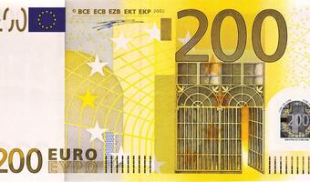 Szczerski: sprawa waluty euro jednym z możliwych pytań w referendum