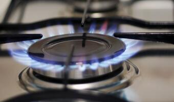 KE: Będzie decyzja w sprawie gazociągu OPAL