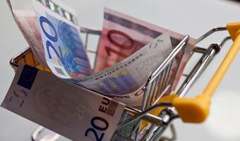 Niemcy chwalą strefę euro