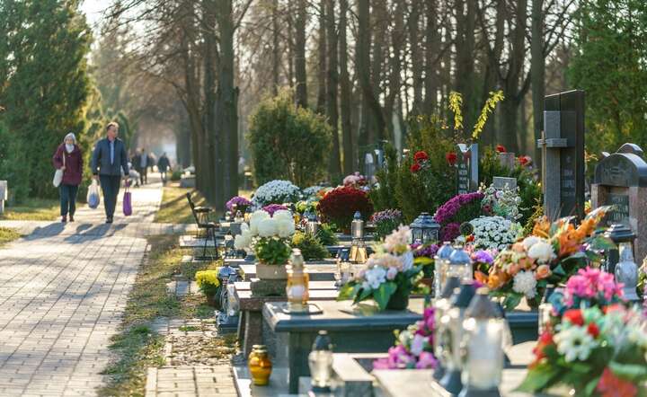 Aleja na Cmentarzu Północnym w Warszawie / autor: Fratria/ AS