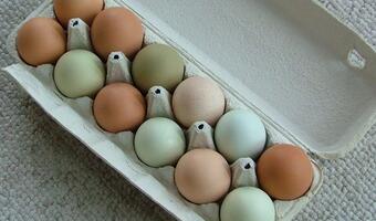 W tym roku na Wielkanoc kupimy 7646 jaj. Zobacz ile kosztują święta?