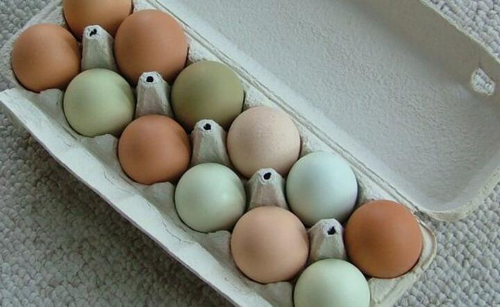 W tym roku na Wielkanoc kupimy 7646 jaj. Zobacz ile kosztują święta?