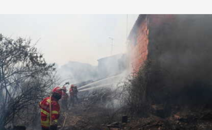 Pożary lasów w Portugalii / autor: PAP/EPA/PAULO NOVAIS