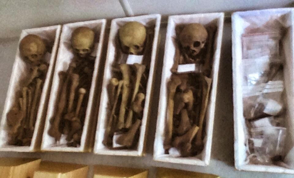 Trumienki ze szczątkami wydobytymi z cmentarza na Wałbrzyskiej. fot. M. Czutko