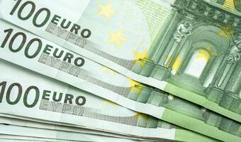 Resort finansów: euro teraz nie byłoby korzystne