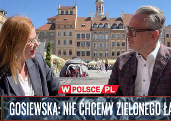 Gosiewska dla TV #WPolsce: "TO MY ZADECYDUJEMY JAKA BĘDZIE UNIA" | #WywiadWPolsce (21.05.2024)