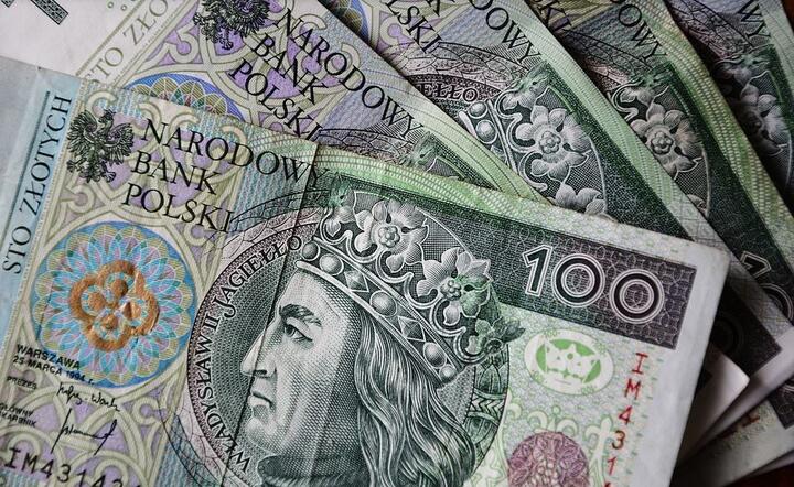Banknoty / autor: Pixabay
