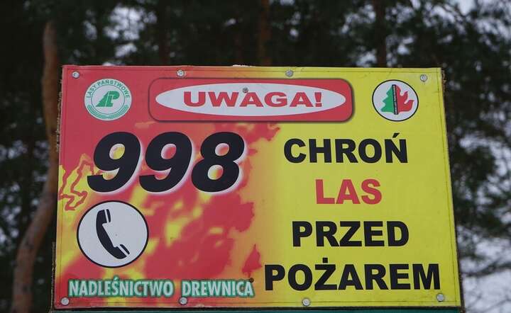 99 proc. pożarów powstaje na wskutek działalności ludzi przebywających w lesie / autor: Fratria / MK