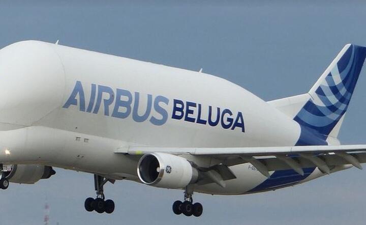 Airbus Beluga  / autor: Pixabay 