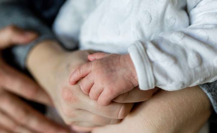 Dziecko, opieka / autor: Pixabay