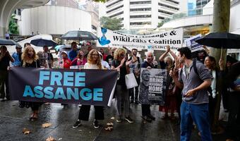 ONZ: Wyrok więzienia dla Assange'a zbyt surowy