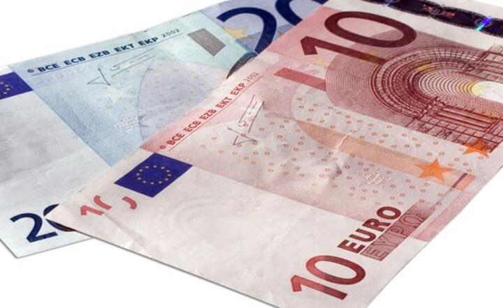 Ponad 13 mld euro w ubiegłym roku wymieniło MF