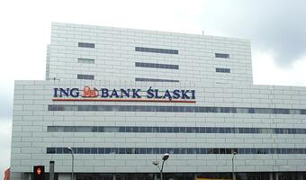 Prezes ING Bank Śląski: widać sygnały spadku akcji kredytowej banków