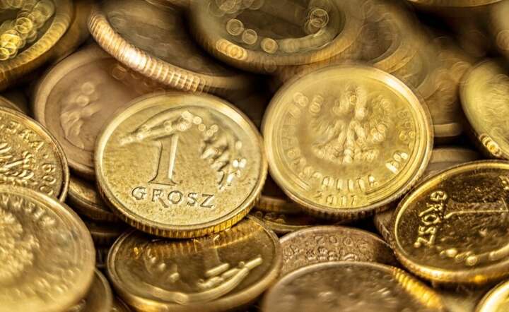 Osoby, które odprowadziły składki za kilka miesięcy teraz otrzymują z ZUS kilka, kilkanaście złotych miesięcznie / autor: Pixabay