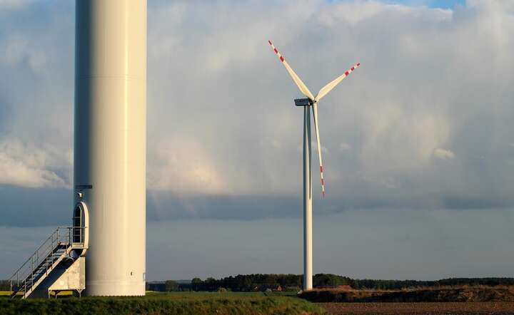 Spadek popytu na wiatraki spowodował wstrzymanie inwestycji Vestas w Szczecinie - twierdzi duńska firma / autor: Pixabay