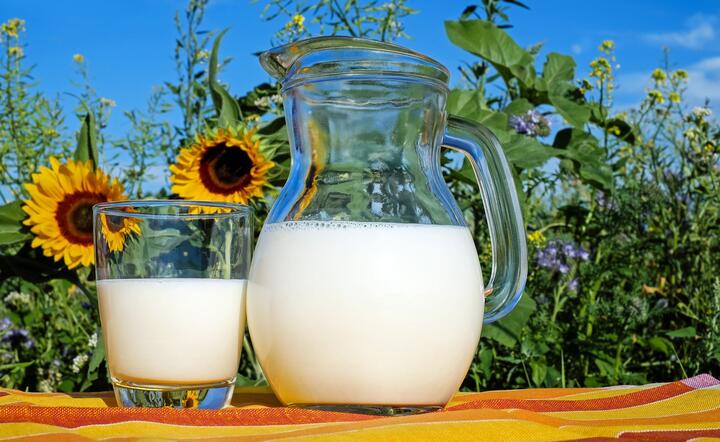 Prezydent apelował o kupowanie polskiego mleka / autor: Pixabay
