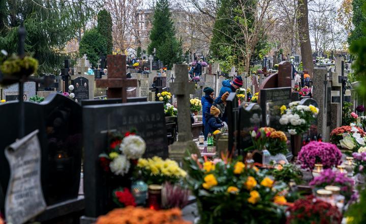 Dr Sutkowski: decyzja o zamknięciu cmentarzy racjonalna