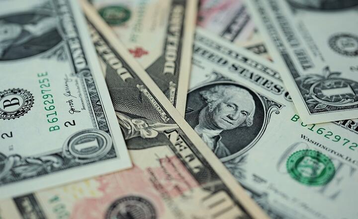 Wczoraj dolar zyskiwał w relacji do wszystkich głównych walut, a redukcja krótkich pozycji miała źródło we wzroście nominalnych rentowności obligacji skarbowych / autor: Pixabay