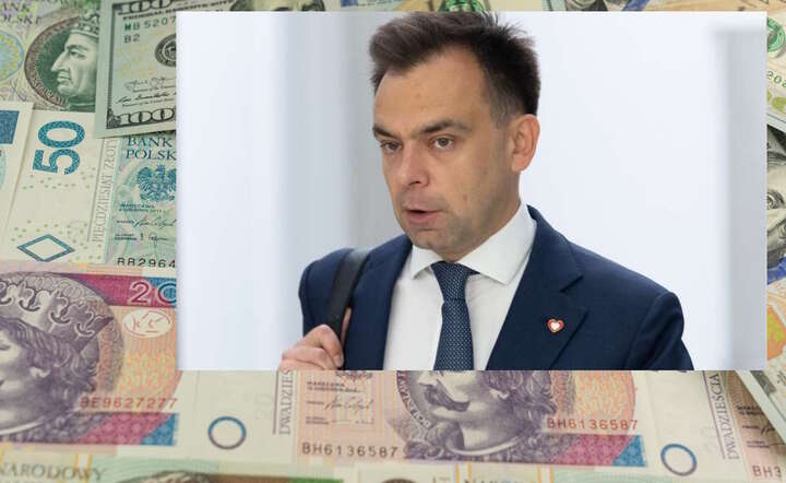 Minister finansów Andrzej Domański / autor: Fratria