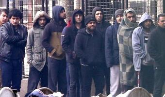 Holandia: Gwałtownie rośnie liczba wniosków o azyl