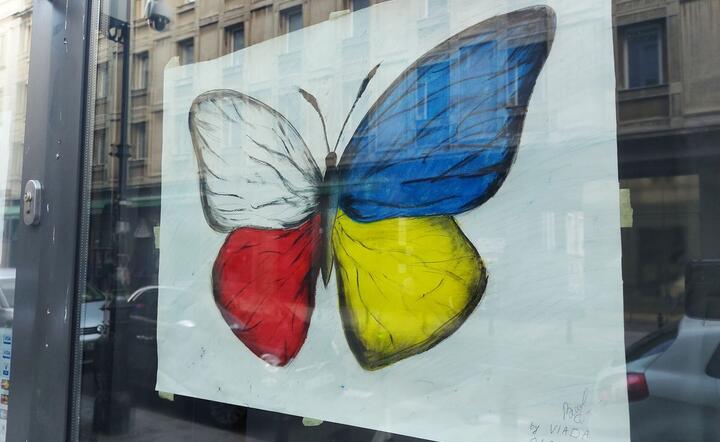 Wsparcie dla Ukrainy / autor: fot. Fratria