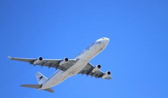 Liczba wyszukiwań lotów do USA wzrosła o 319 procent