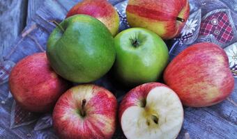 Niemieccy przetwórcy  odmawiają przerobu jabłek