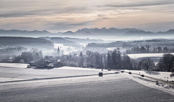 Italia: Zima uderzyła w rolnictwo