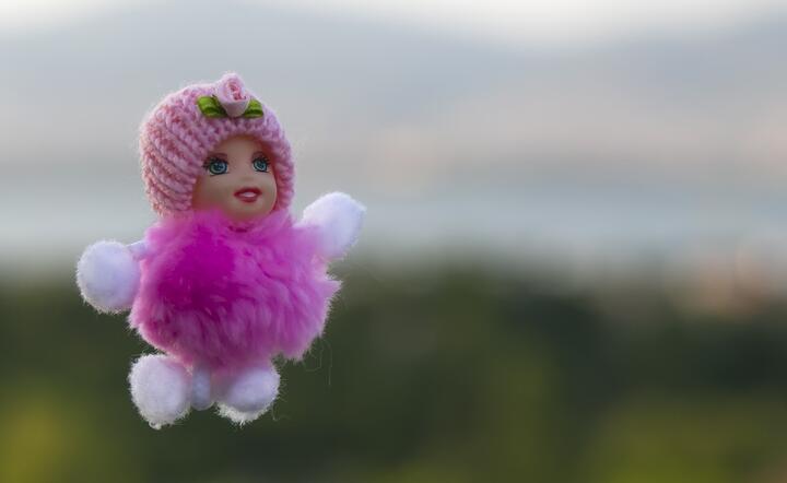 UOKiK zakwestionowała prawie dwie trzecie ze skontrolowanych zabawek z przyssawkami / autor: Pixabay