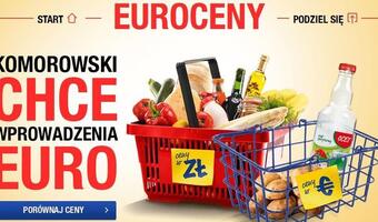 Jak zmienią się ceny po wejściu Polski do strefy euro? SPRAWDŹ