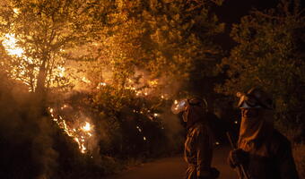 Hiszpania: Kilkadziesiąt pożarów lasów w całym kraju